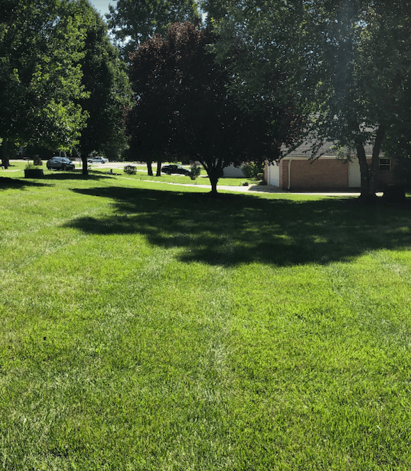 cooks pest control bill pay